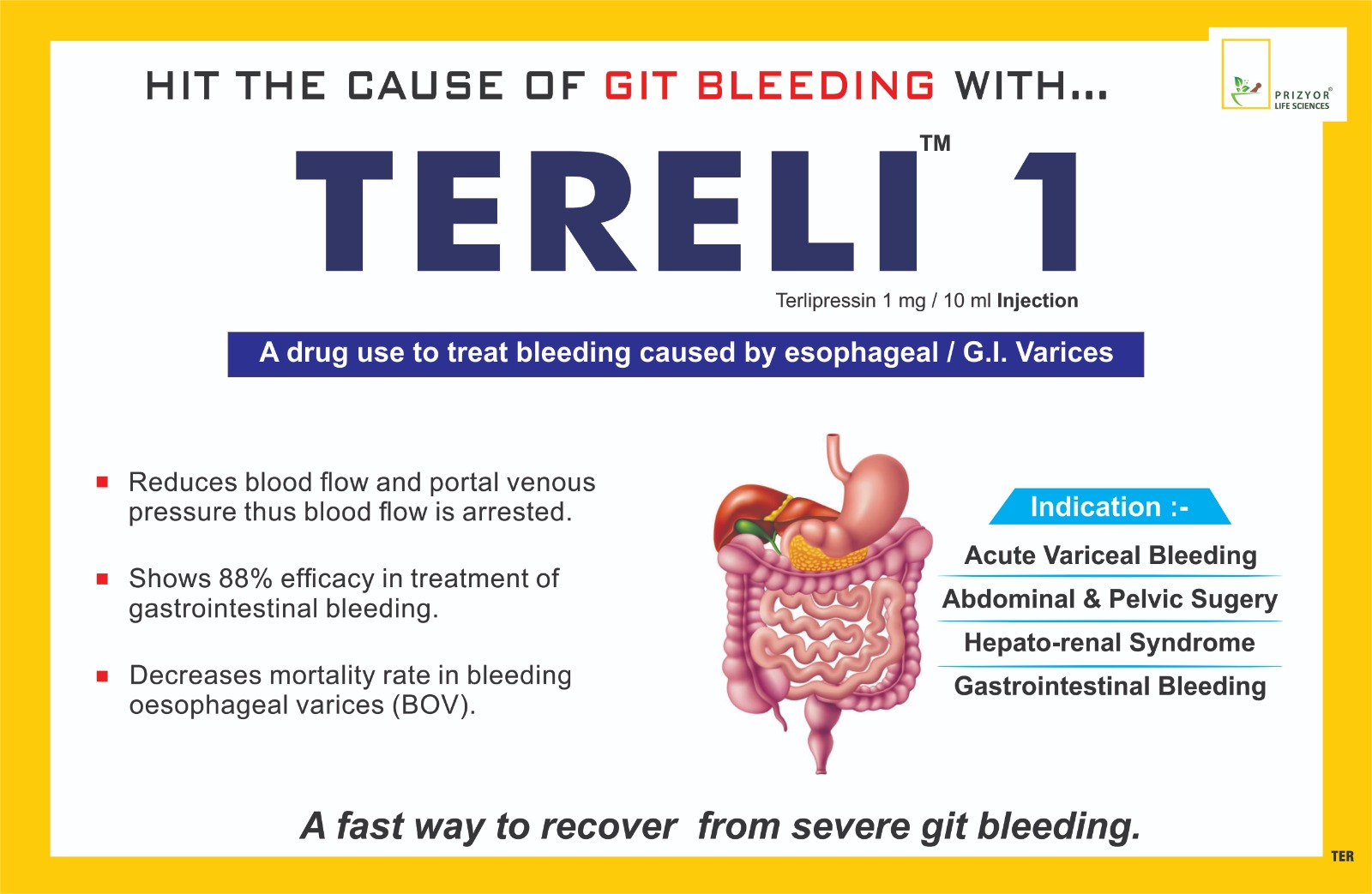 TERELI - 1 Injection  ( 1 x 1 )